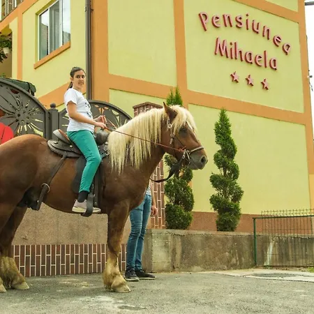 Pensiunea Mihaela-transalpina 3*