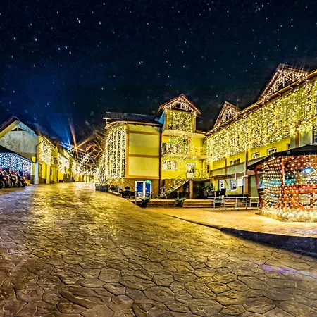 Pensiunea Mihaela-transalpina Guest house 3*