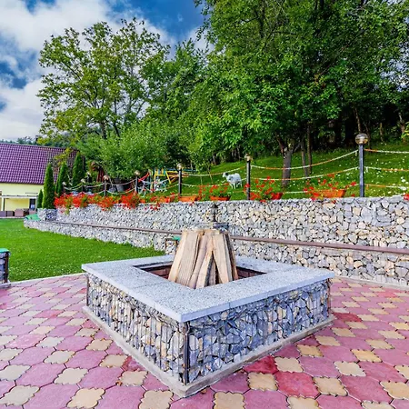 Pensiunea Mihaela-transalpina