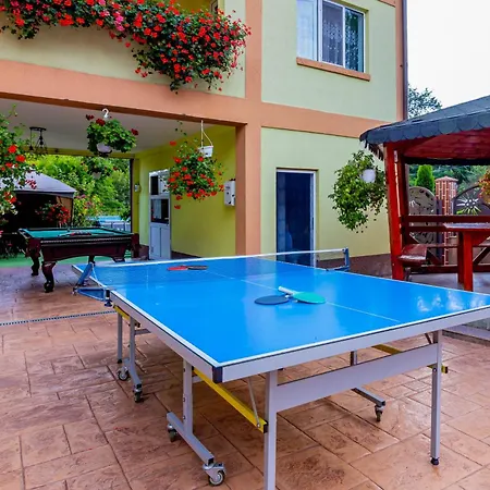 Pensiunea Mihaela-transalpina Guest house 3*