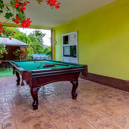 Guest house Pensiunea Mihaela-transalpina
