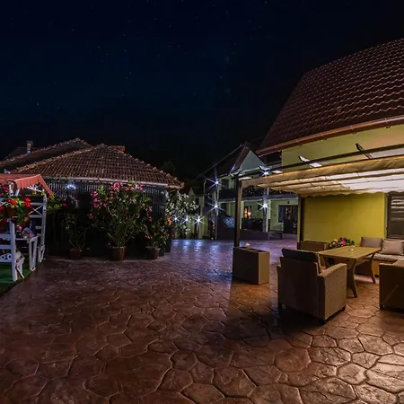 Pensiunea Mihaela-transalpina Guest house