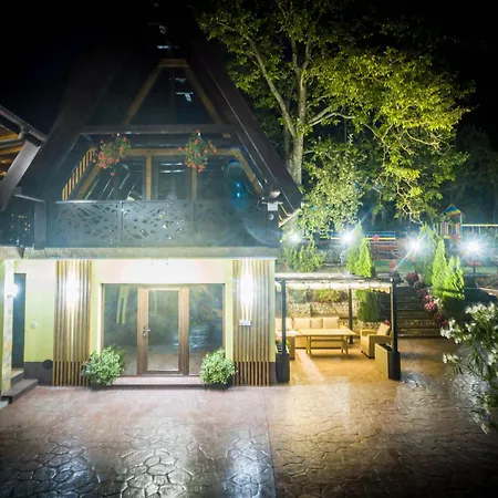 Guest house Pensiunea Mihaela-transalpina