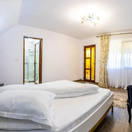 Guest house Pensiunea Mihaela-transalpina 3*