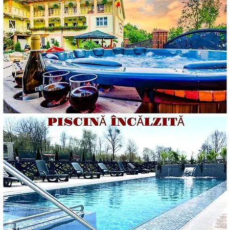 Guest house Pensiunea Mihaela-transalpina 3*
